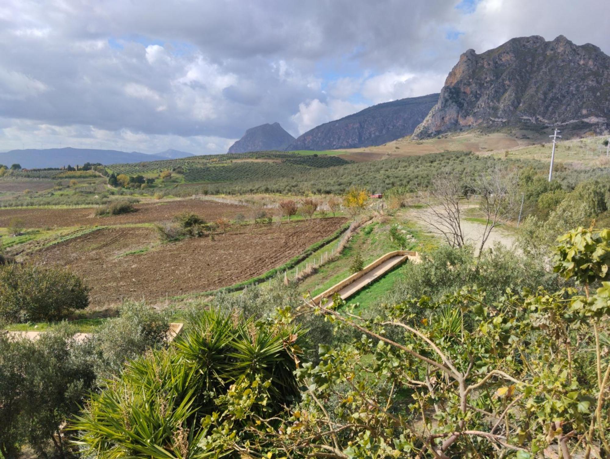 Agriturismo Masseria La Chiusa San Giuseppe Jato Exteriör bild